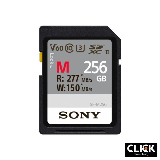 Sony 256 GB SDXC Class 10 UHS-II U3