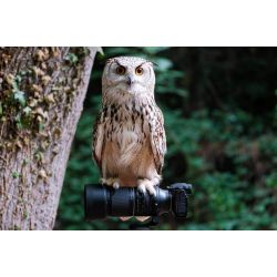 Tamron 150-500mm F/5-6.7 Di III VC VXD (FUJI X mount)