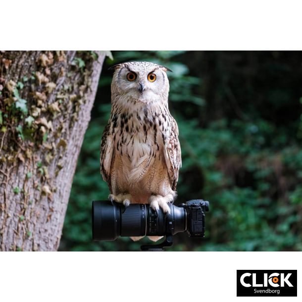 Tamron 150-500mm F/5-6.7 Di III VC VXD (FUJI X mount)