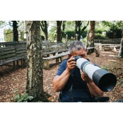 Canon RF 200-800mm F6.3-9 IS USM